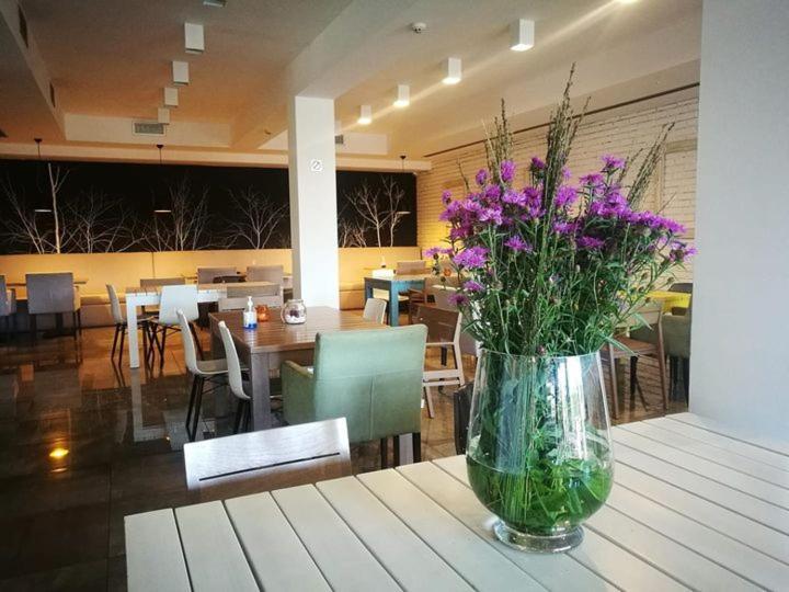 Heba Hotel Divčibare Buitenkant foto